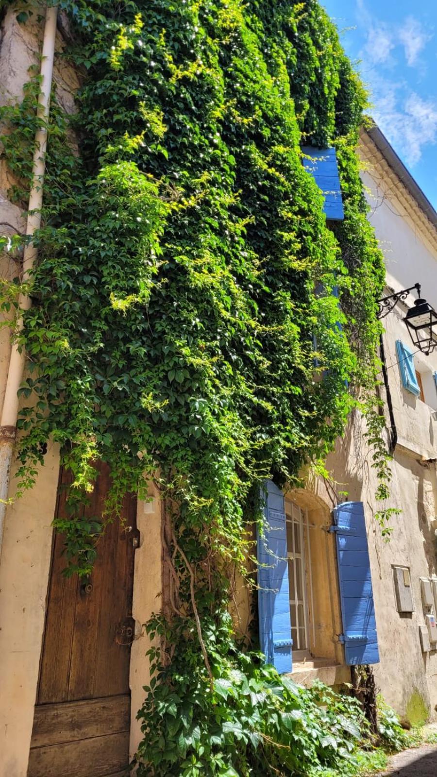 La Confidentielle Centre Ville Arles Terrasse Dış mekan fotoğraf