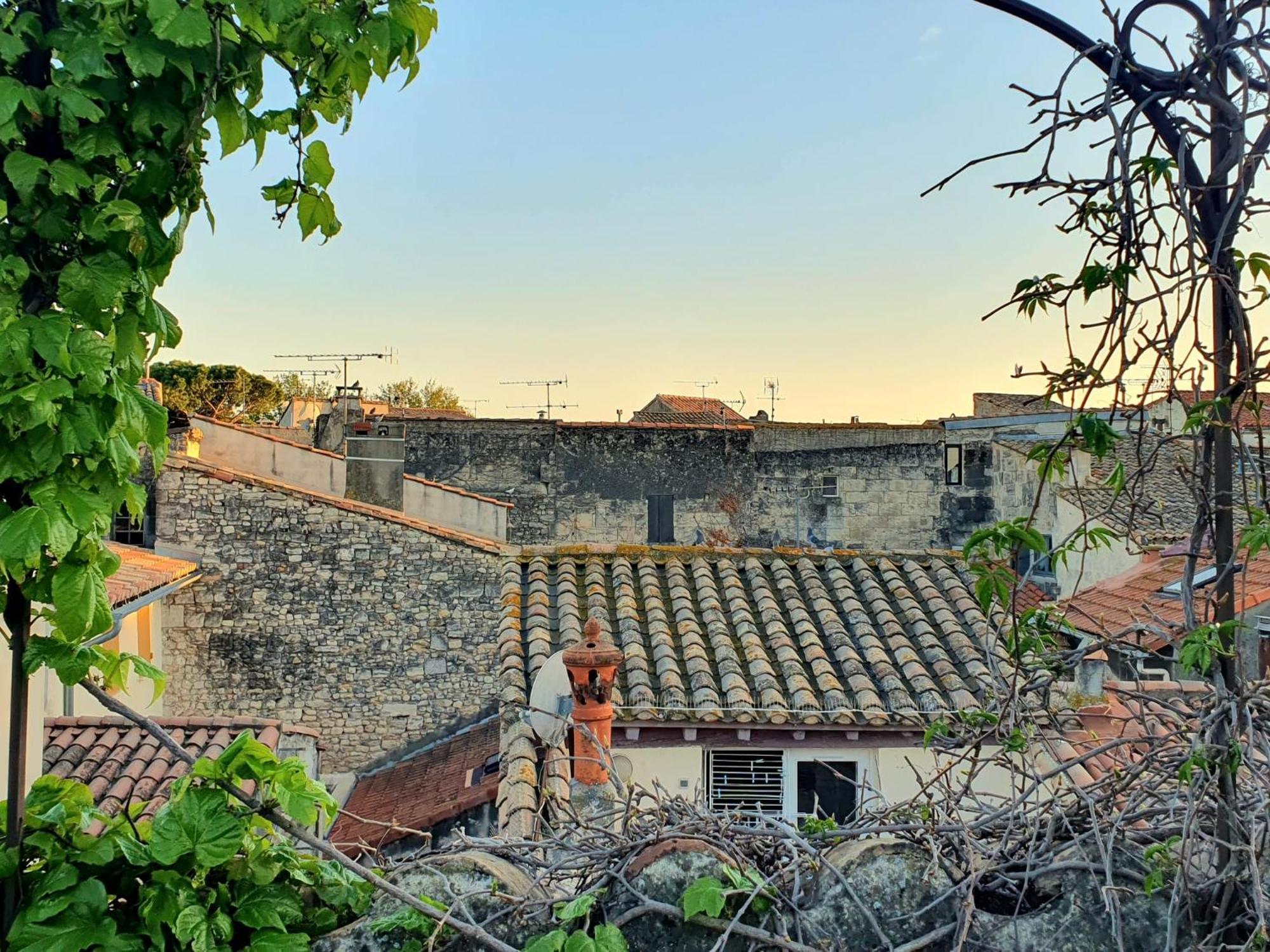 La Confidentielle Centre Ville Arles Terrasse Dış mekan fotoğraf